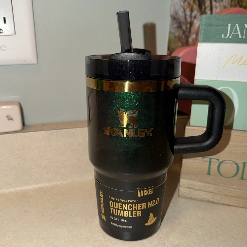 20oz Stanley x Target Wicked for Good elphaba for good - yes